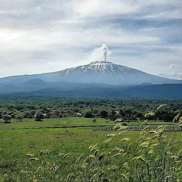 Vecchio Forno Villa Puntalazzo ภายนอก รูปภาพ